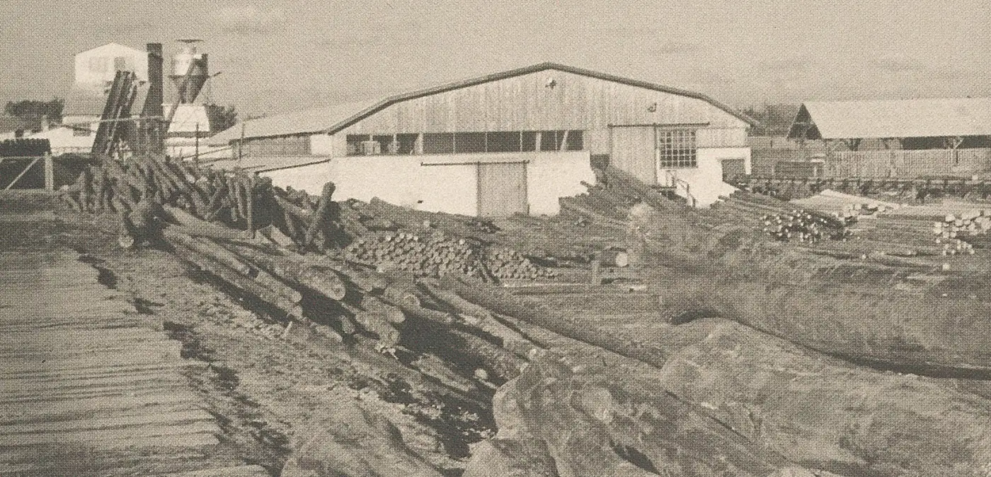 Sägewerk in Breloh, 1961